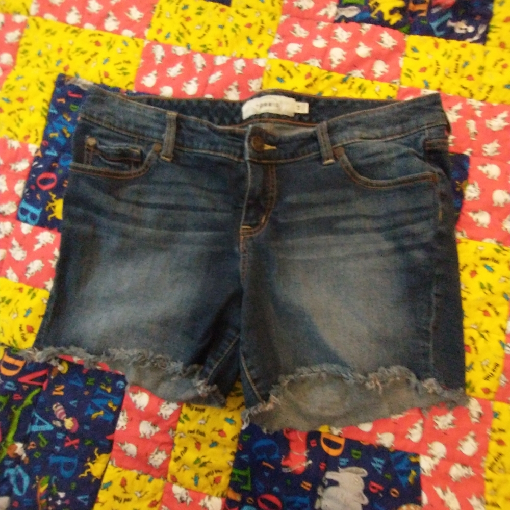 Torrid jean shorts